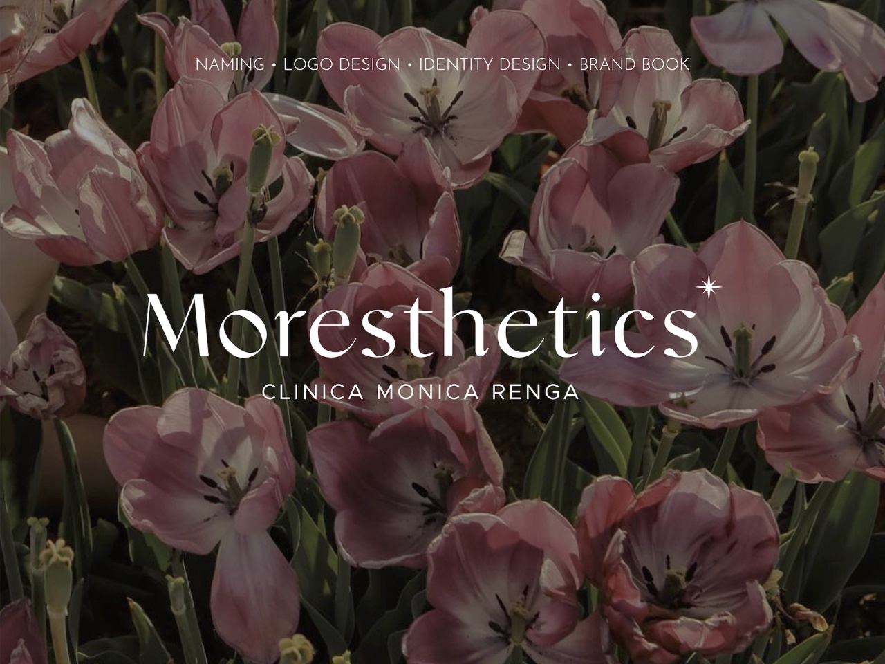 Moresthetics | leDehors