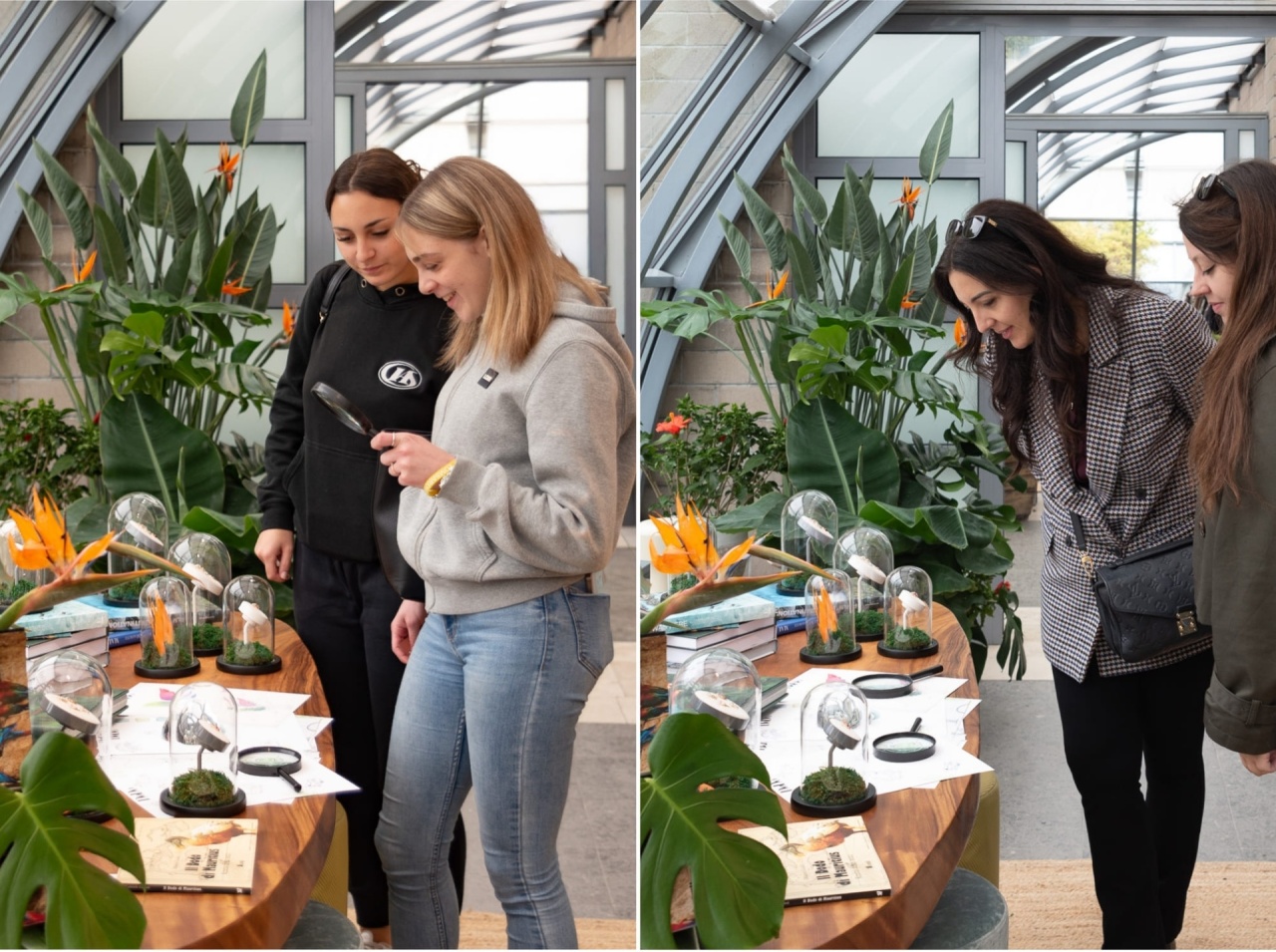 DoDo Orticolario | leDehors