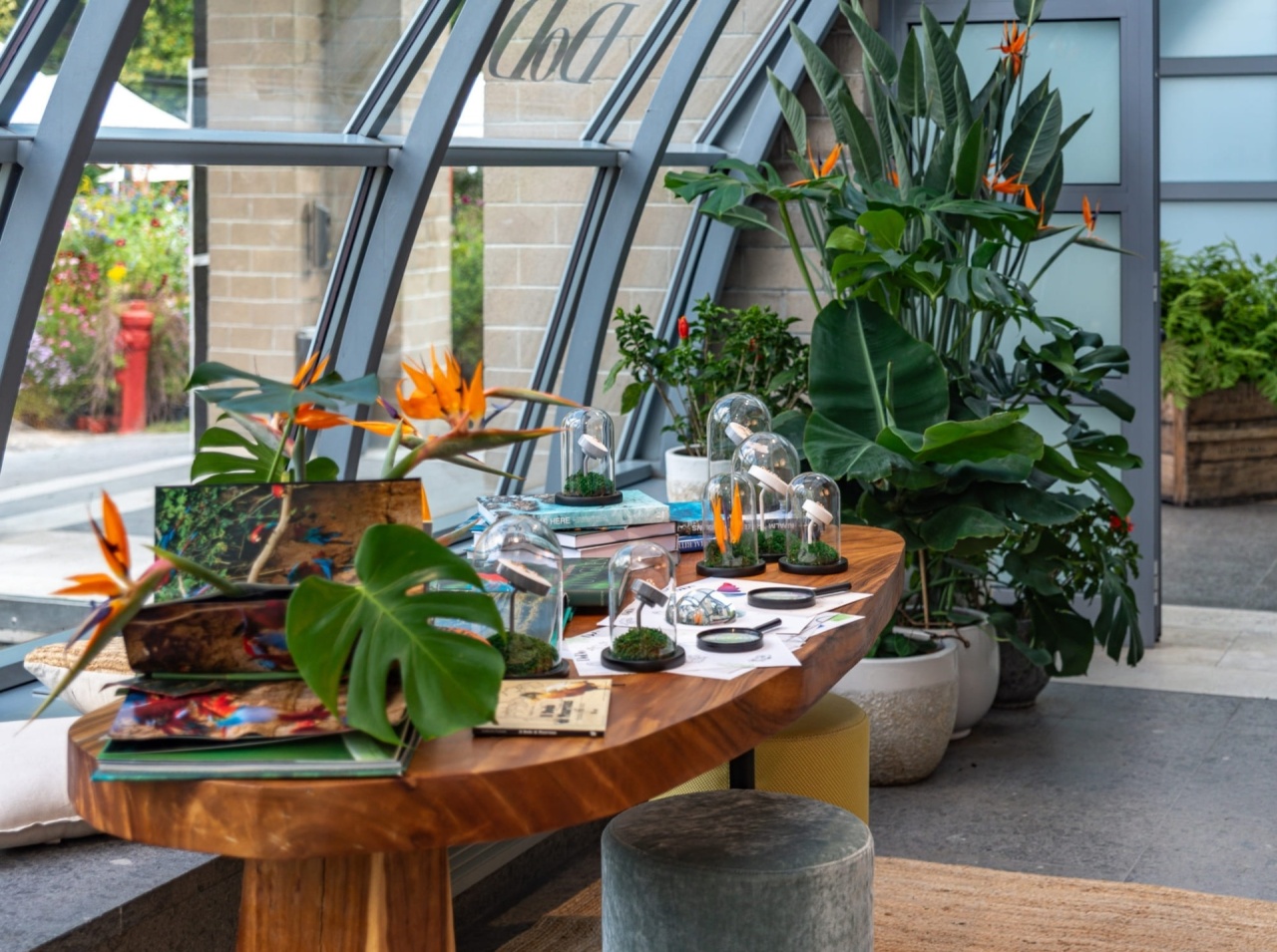 DoDo Orticolario | leDehors